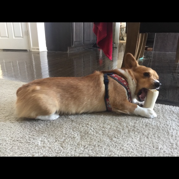 Meet your Posher, Tammy - Picture 3 of 6